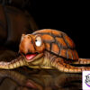 C Studio – Dragon Ball Childhood Chapter Turtle - Photo 1 | TopGKStore
