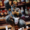 KEY STUDIO – Barley Statue (Licensed) - Photo 3 | TopGKStore