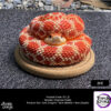 Snakegorge – Hognose Snake (Licensed) - Photo 6 | TopGKStore