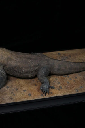 Aphid Studio – Komodo Dragon – Open Mouth Version Statue (Licensed) - Photo 1 | TopGKStore