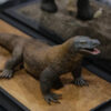 Aphid Studio – Komodo Dragon – Open Mouth Version Statue (Licensed) - Photo 3 | TopGKStore