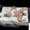 CHOC STUDIO – Sugar Daddy Mystery Box (Licensed) - Photo 7 | TopGKStore