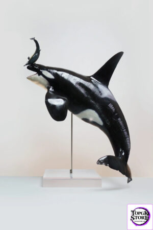 ReLife Studio – 1/10 WU Series 04 Orca X Common Bottlenose Dolphin (Licensed) - Photo 1 | TopGKStore