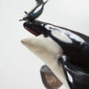ReLife Studio – 1/10 WU Series 04 Orca X Common Bottlenose Dolphin (Licensed) - Photo 8 | TopGKStore
