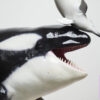 ReLife Studio – 1/10 WU Series 04 Orca X Common Bottlenose Dolphin (Licensed) - Photo 11 | TopGKStore
