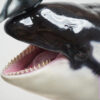 ReLife Studio – 1/10 WU Series 04 Orca X Common Bottlenose Dolphin (Licensed) - Photo 12 | TopGKStore