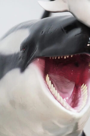 ReLife Studio – 1/10 WU Series 04 Orca X Common Bottlenose Dolphin (Licensed) - Photo 2 | TopGKStore