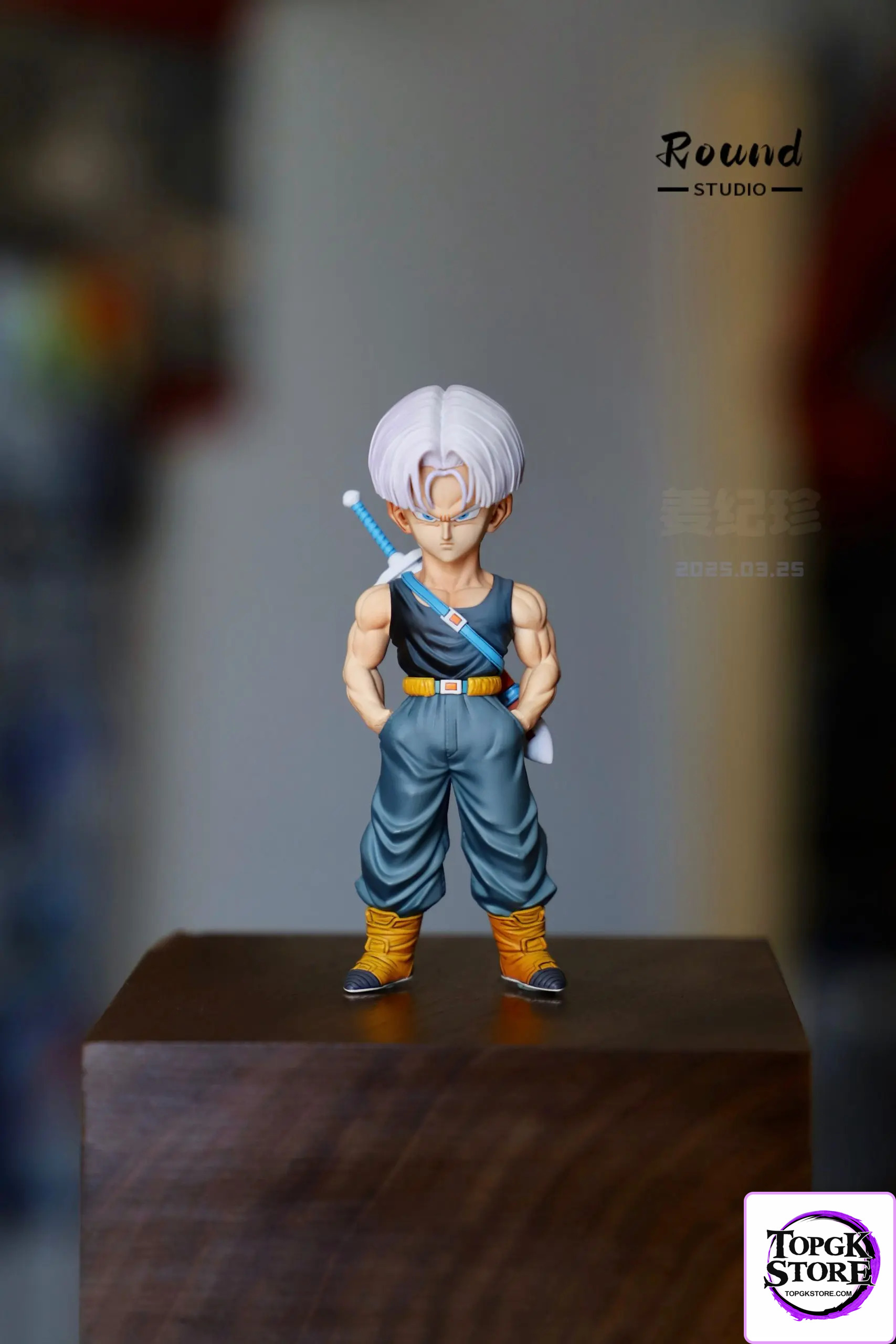 Round Studio – Dragon Ball Z Warrior Resonance Trunks - Photo 2 | TopGKStore
