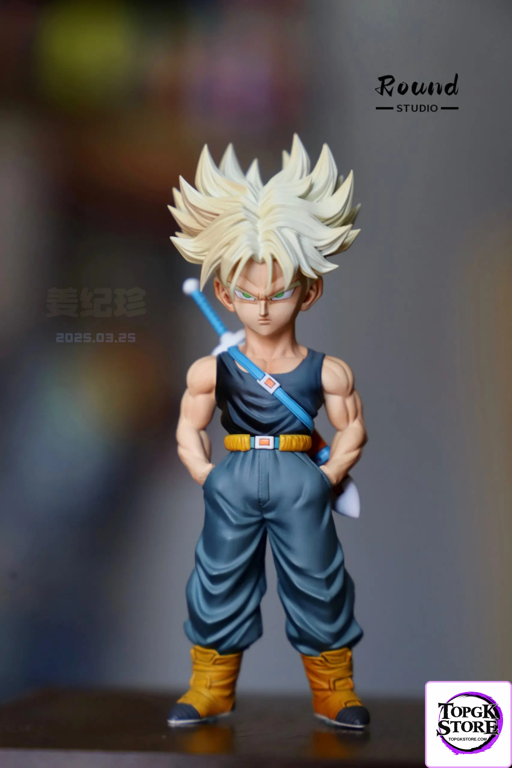Round Studio – Dragon Ball Z Warrior Resonance Trunks - Photo 1 | TopGKStore
