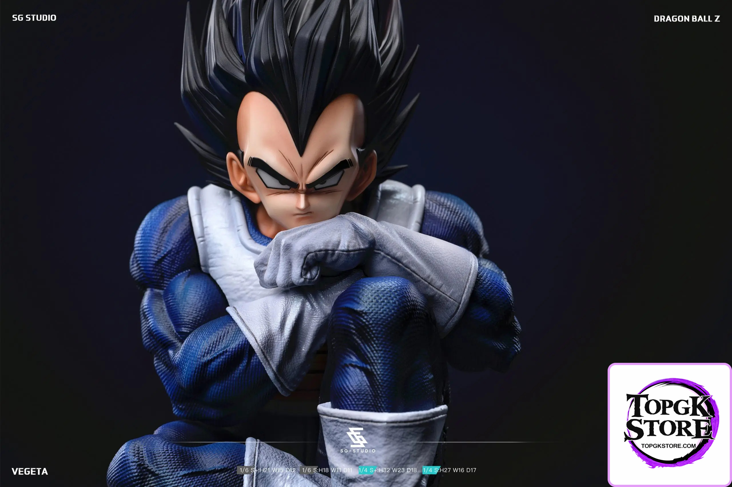SG Studio – Dragon Ball Namek Vegeta - Photo 1 | TopGKStore