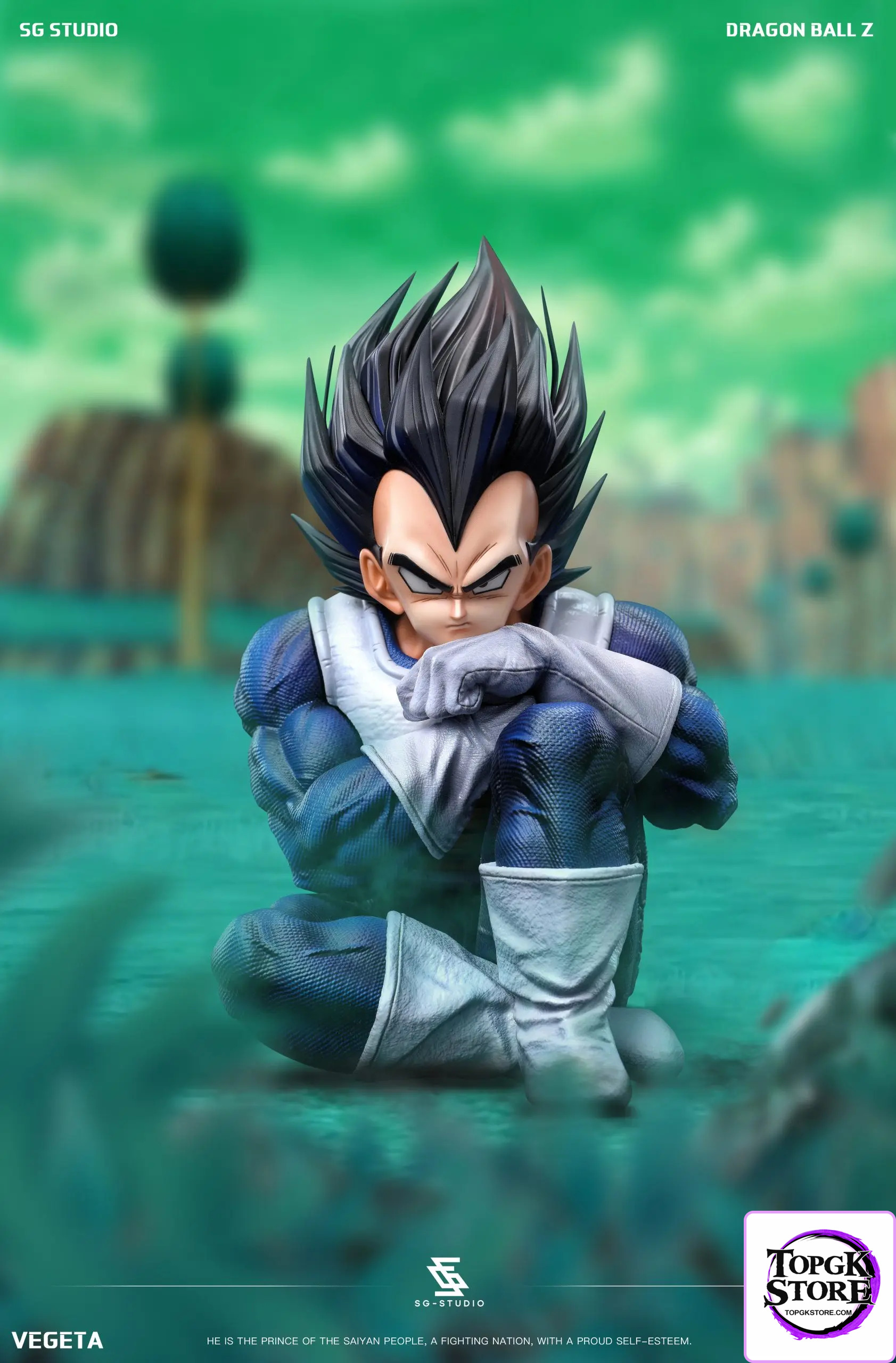 SG Studio – Dragon Ball Namek Vegeta - Photo 2 | TopGKStore