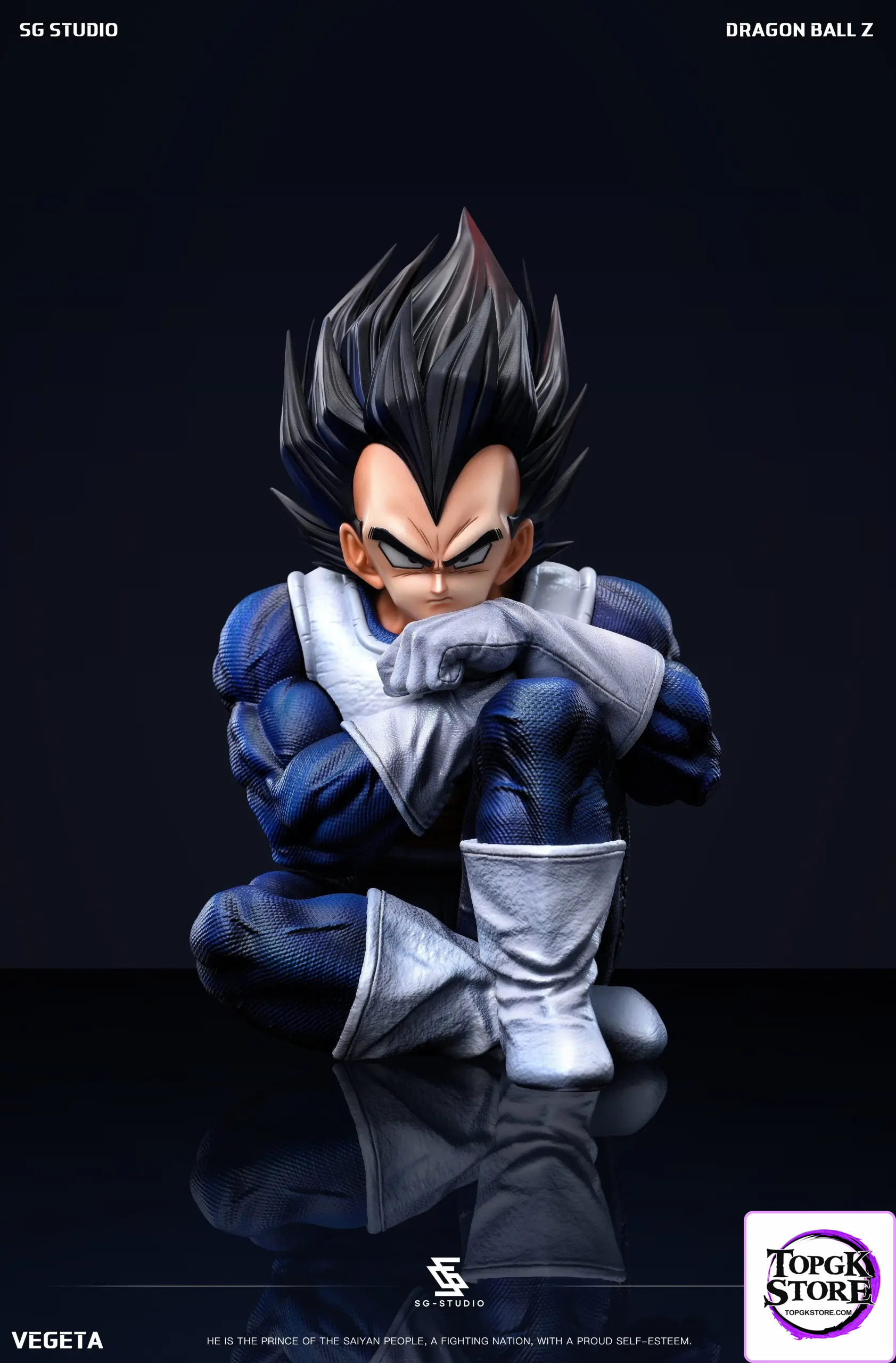 SG Studio – Dragon Ball Namek Vegeta - Photo 3 | TopGKStore