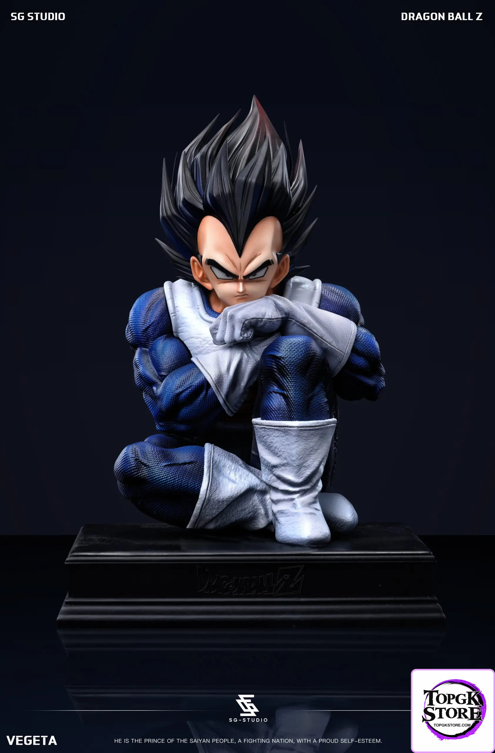 SG Studio – Dragon Ball Namek Vegeta - Photo 4 | TopGKStore