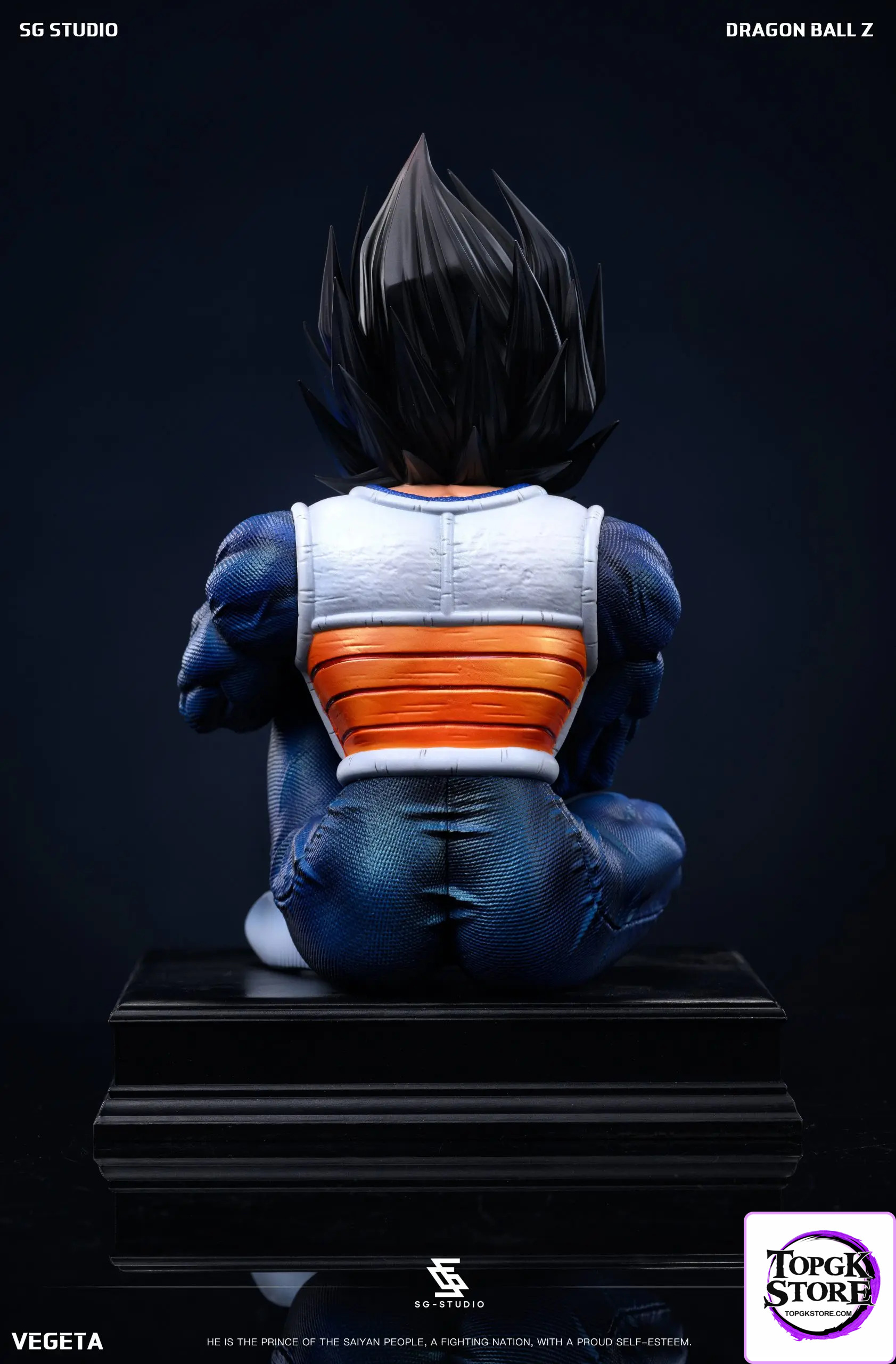 SG Studio – Dragon Ball Namek Vegeta - Photo 5 | TopGKStore