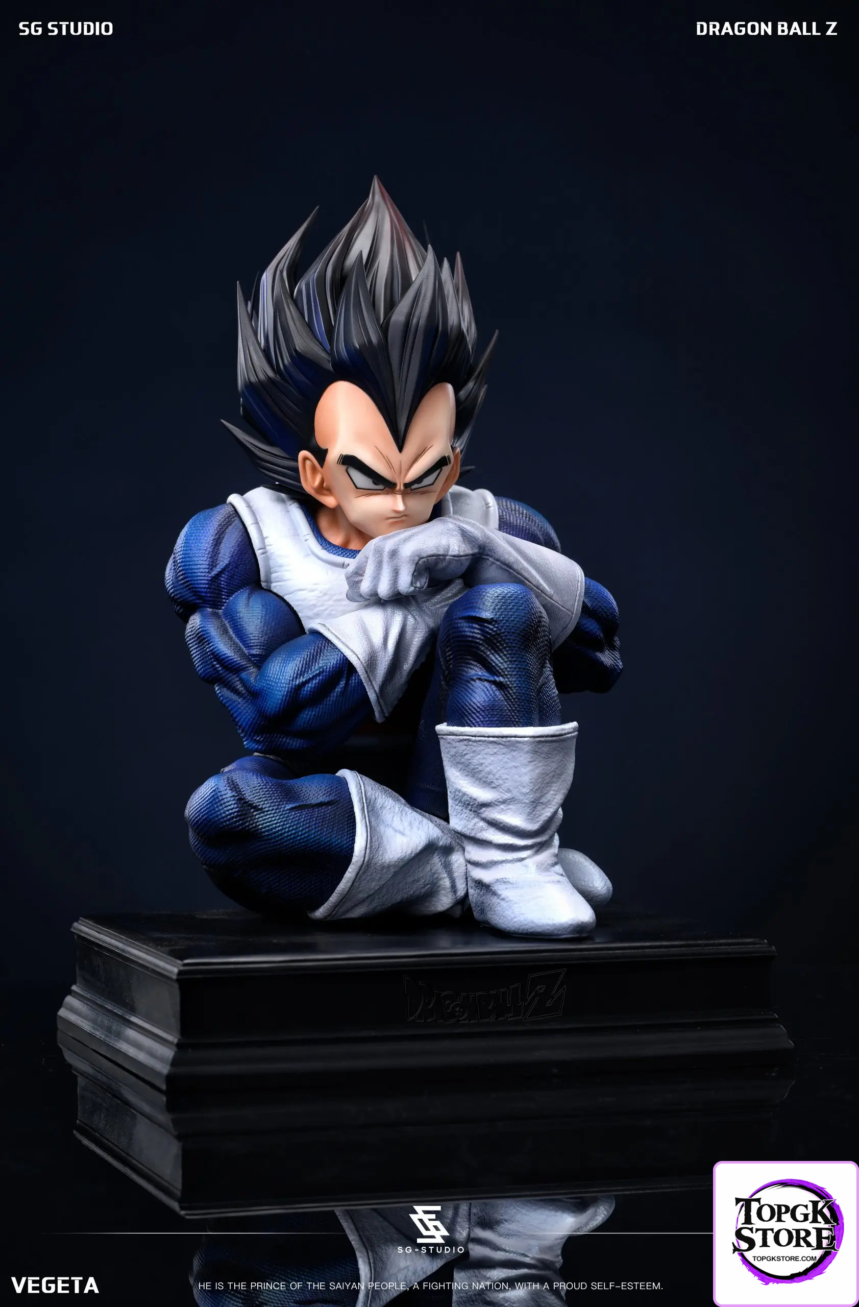 SG Studio – Dragon Ball Namek Vegeta - Photo 6 | TopGKStore