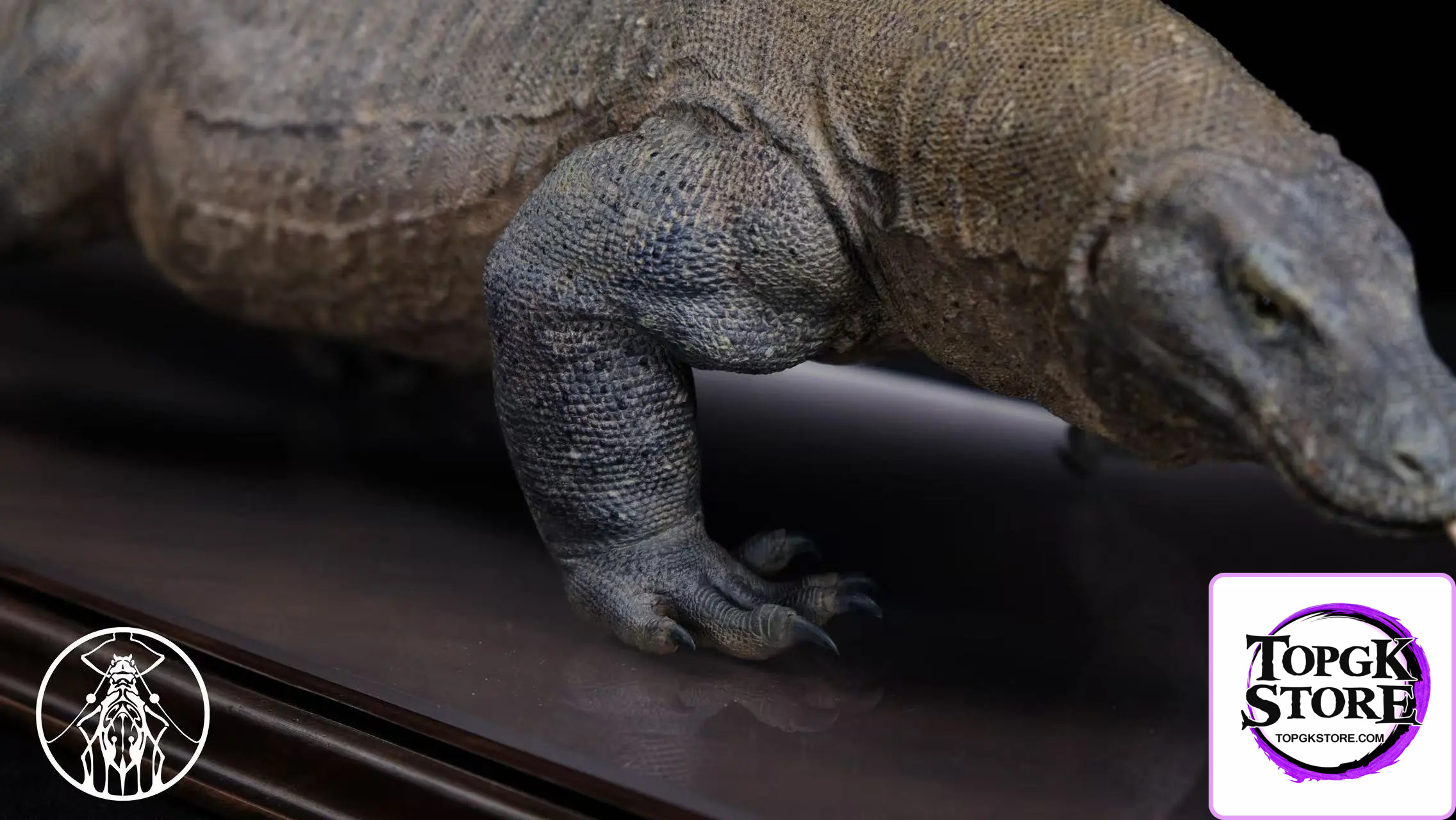 Aphid Studio – Komodo Dragon Model Series (Licensed) - Photo 9 | TopGKStore