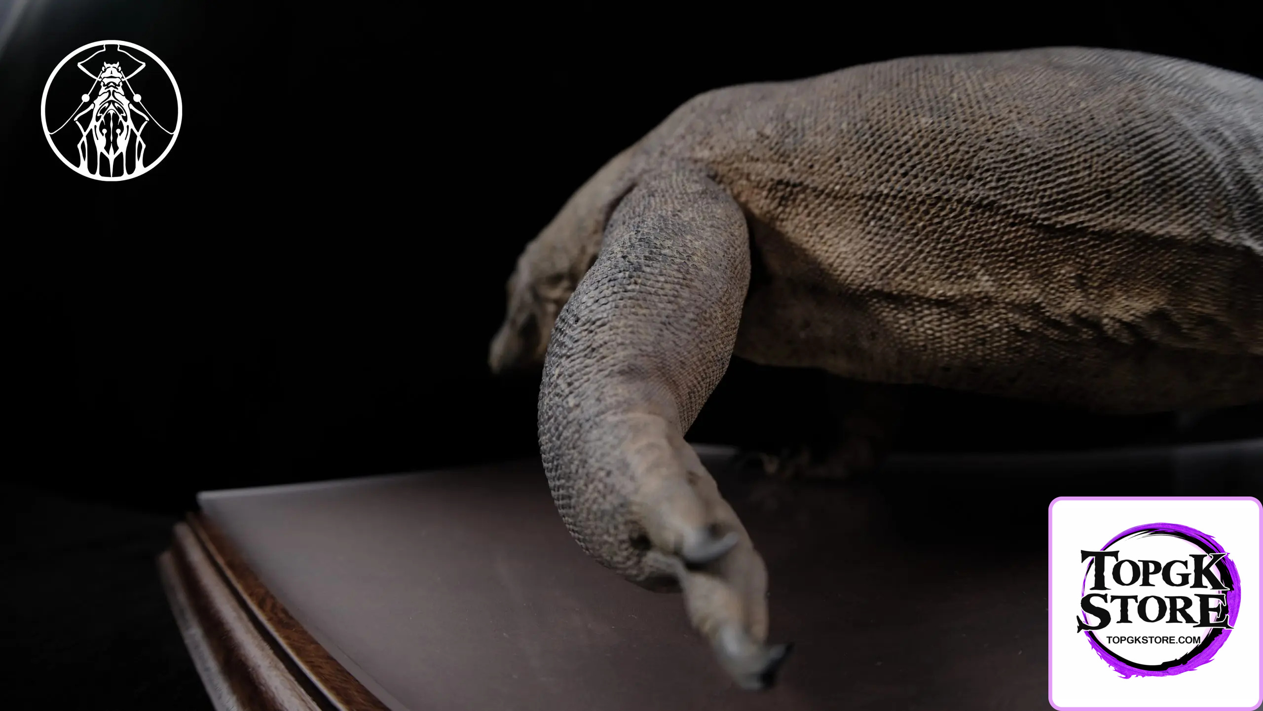 Aphid Studio – Komodo Dragon Model Series (Licensed) - Photo 3 | TopGKStore