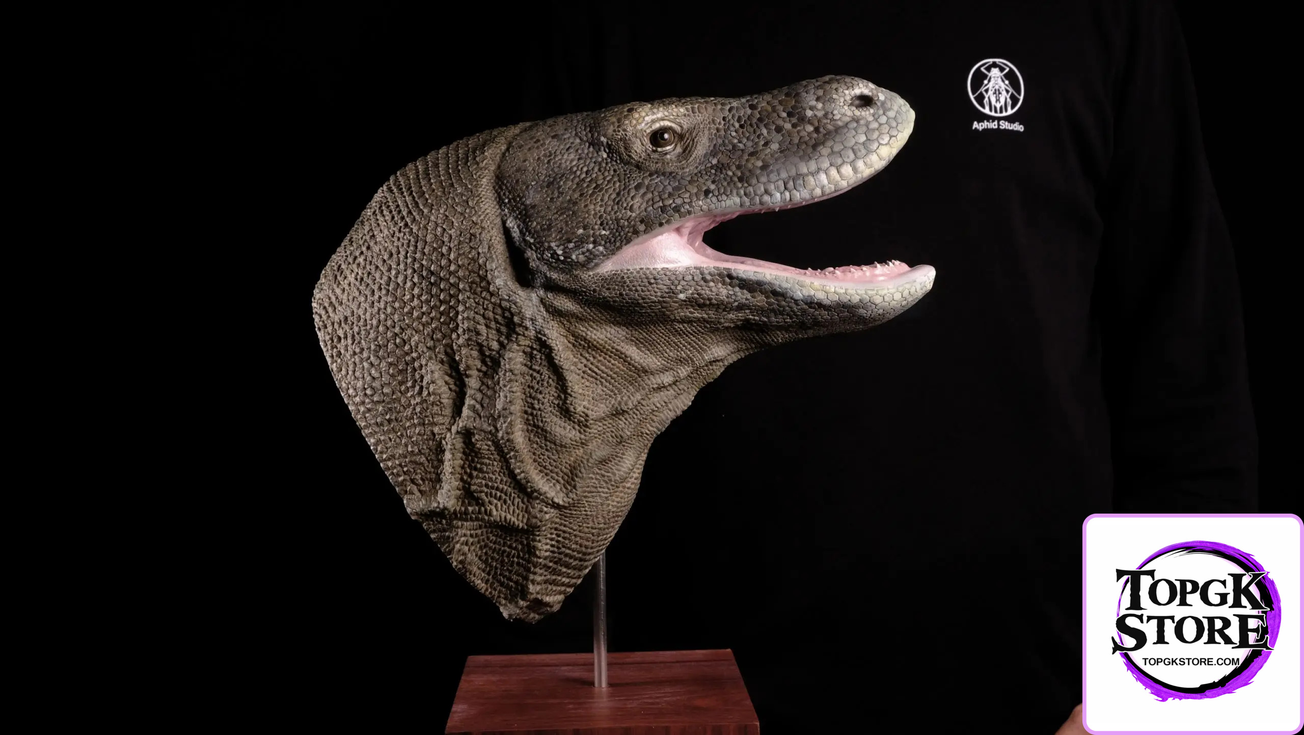 Aphid Studio – Komodo Dragon Model Series (Licensed) - Photo 4 | TopGKStore