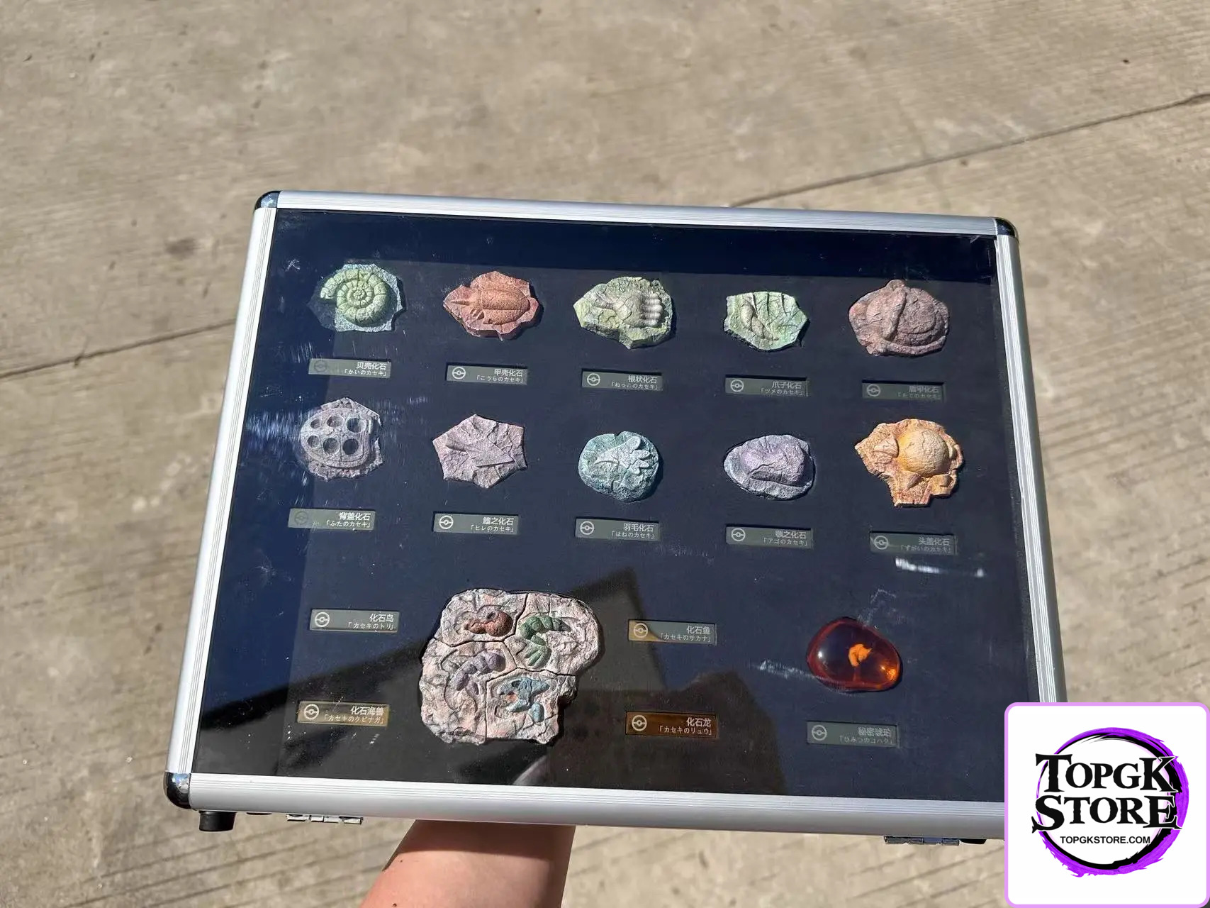 Bai Jing Wu Studio – Pokémon Fossil Set - Photo 2 | TopGKStore