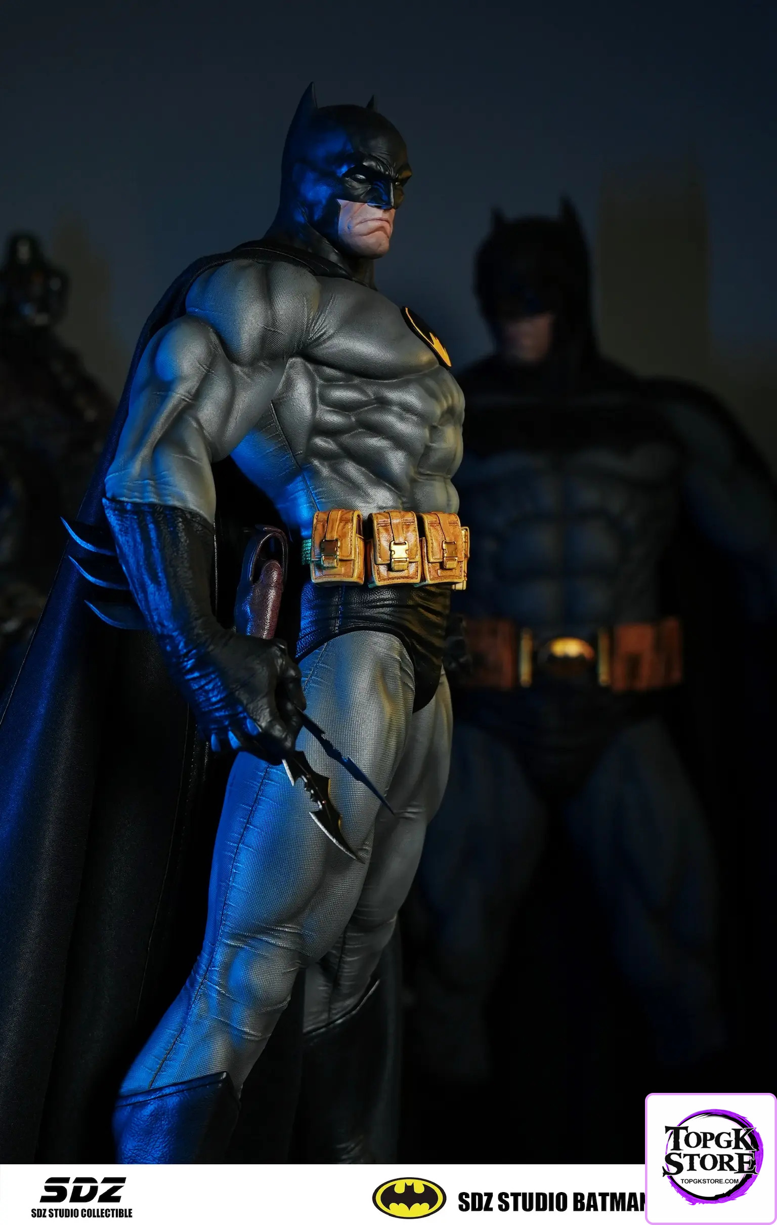 SDZ Studio – Batman 1/4 Whole Body Statue - Photo 2 | TopGKStore
