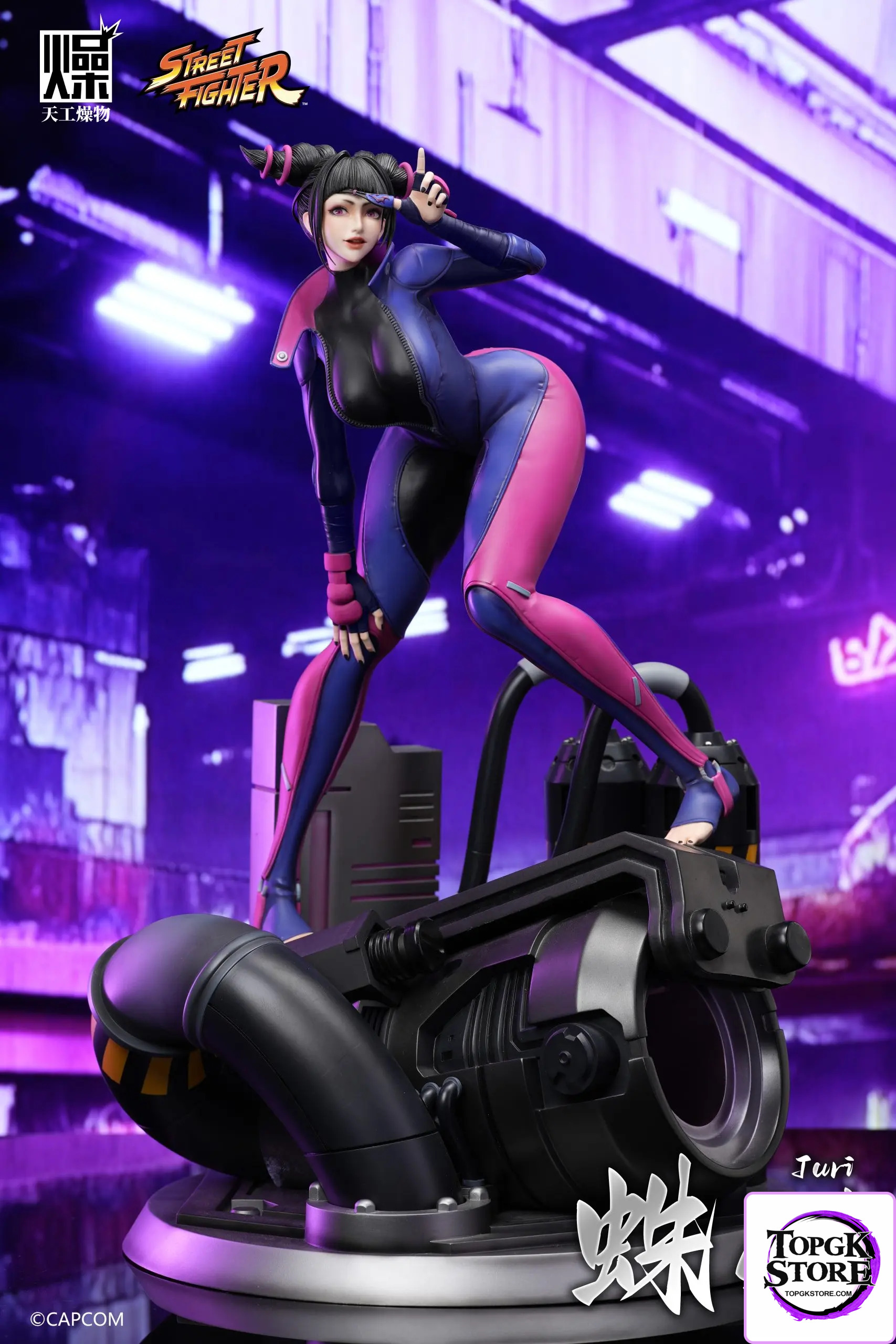TGZW Studio – Capcom Officially Licensed Han Juri Statue (Licensed) - Photo 7 | TopGKStore
