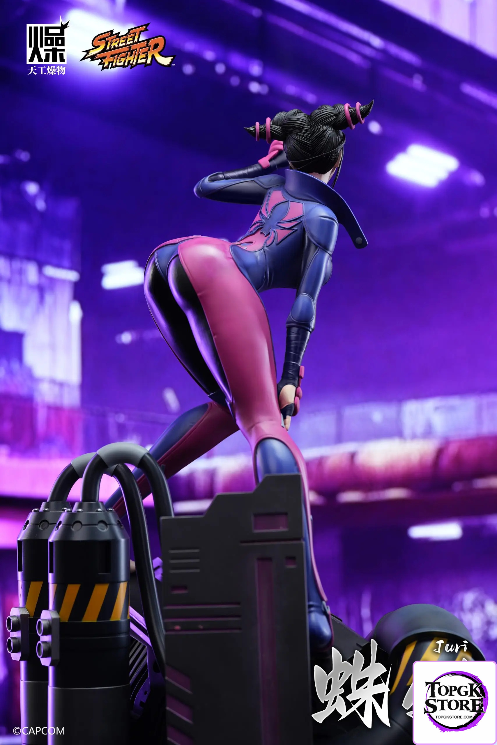 TGZW Studio – Capcom Officially Licensed Han Juri Statue (Licensed) - Photo 3 | TopGKStore