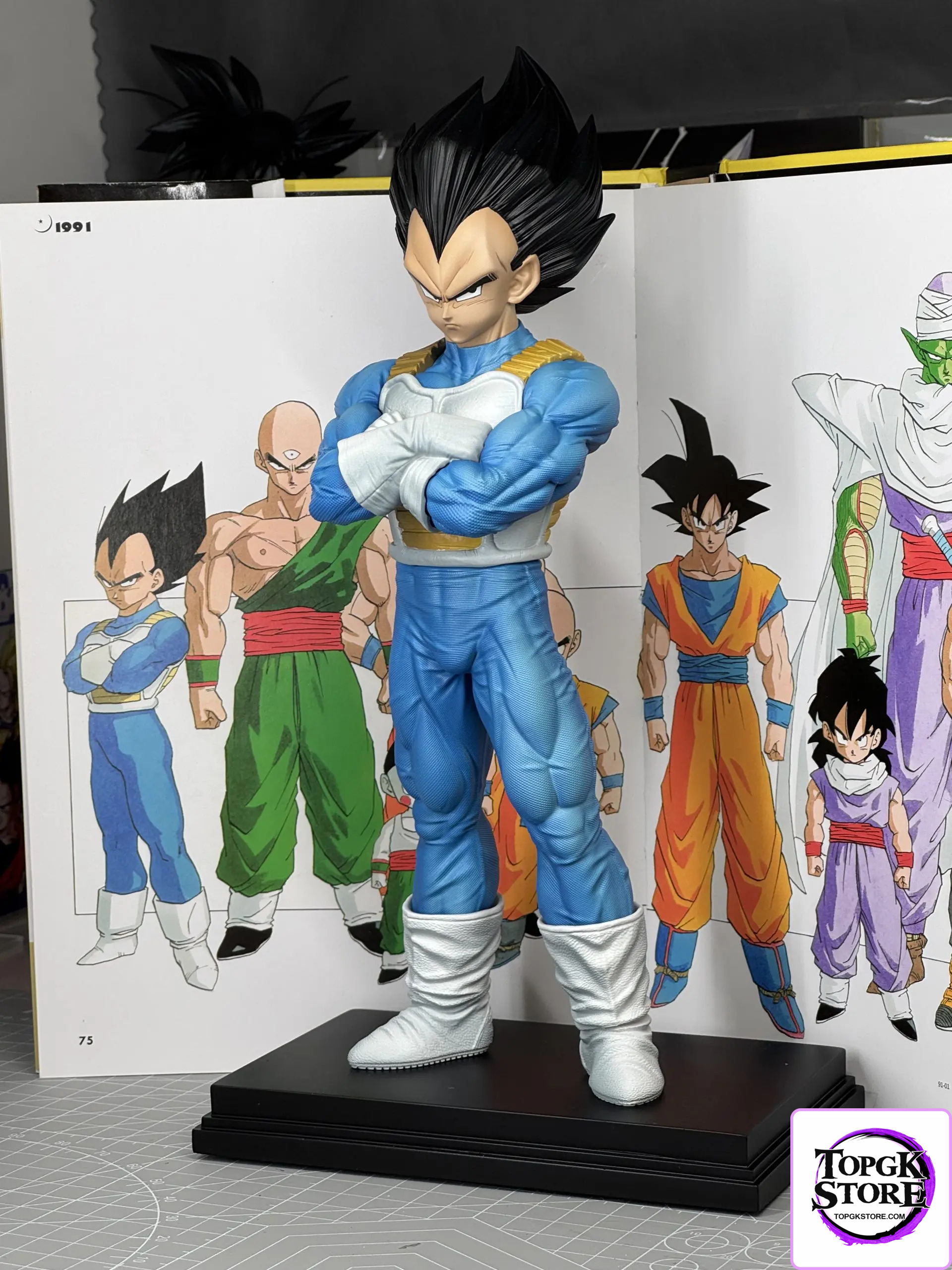 XG Studio – Dragon Ball Z Warrior Vegeta - Photo 1 | TopGKStore