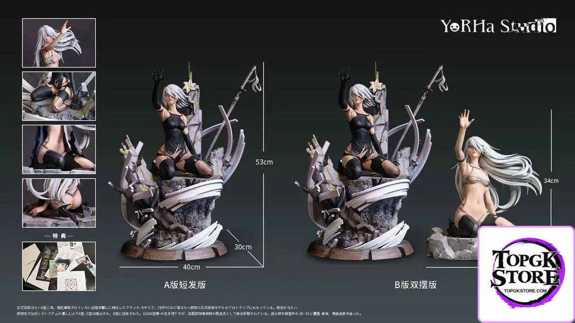 YorHa Studio – NieR:Automata YorHa Observation Report Council of Humanity Chapter 1 Ending C A2 - Photo 12 | TopGKStore