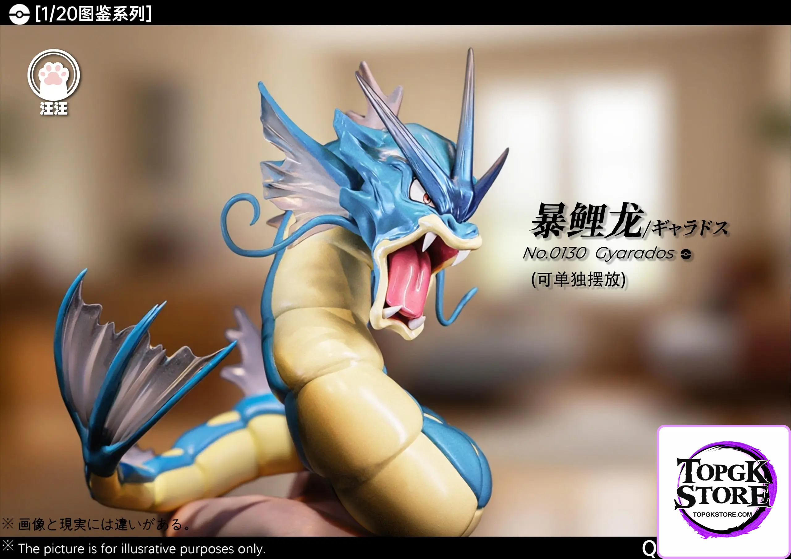 WangWang Studio – Pokémon Gyarados Evolution Set - Photo 1 | TopGKStore