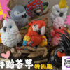 Natural Science Book Studio – Special Edition Gathering of Parrots (Licensed) - Photo 1 | TopGKStore