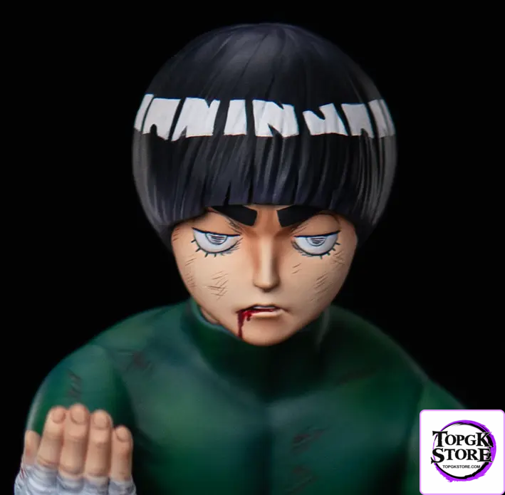 Sign Studio – Naruto Blazing Youth Rock Lee - Photo 2 | TopGKStore