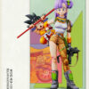 Infinite Studio – Dragon Ball Title page 40th Anniversary Series #2 Bulma & Goku - Photo 1 | TopGKStore