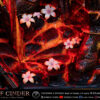 THUNDER Z Studio – Dark Souls Lord of Cinder - Photo 8 | TopGKStore
