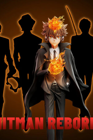 Ring inscription Studio – Katekyo Hitman Reborn Suit Pose Series #1 Tsunayoshi Sawada - Photo 2 | TopGKStore