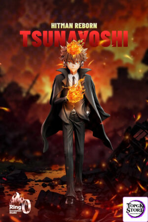 Ring inscription Studio – Katekyo Hitman Reborn Suit Pose Series #1 Tsunayoshi Sawada - Photo 1 | TopGKStore