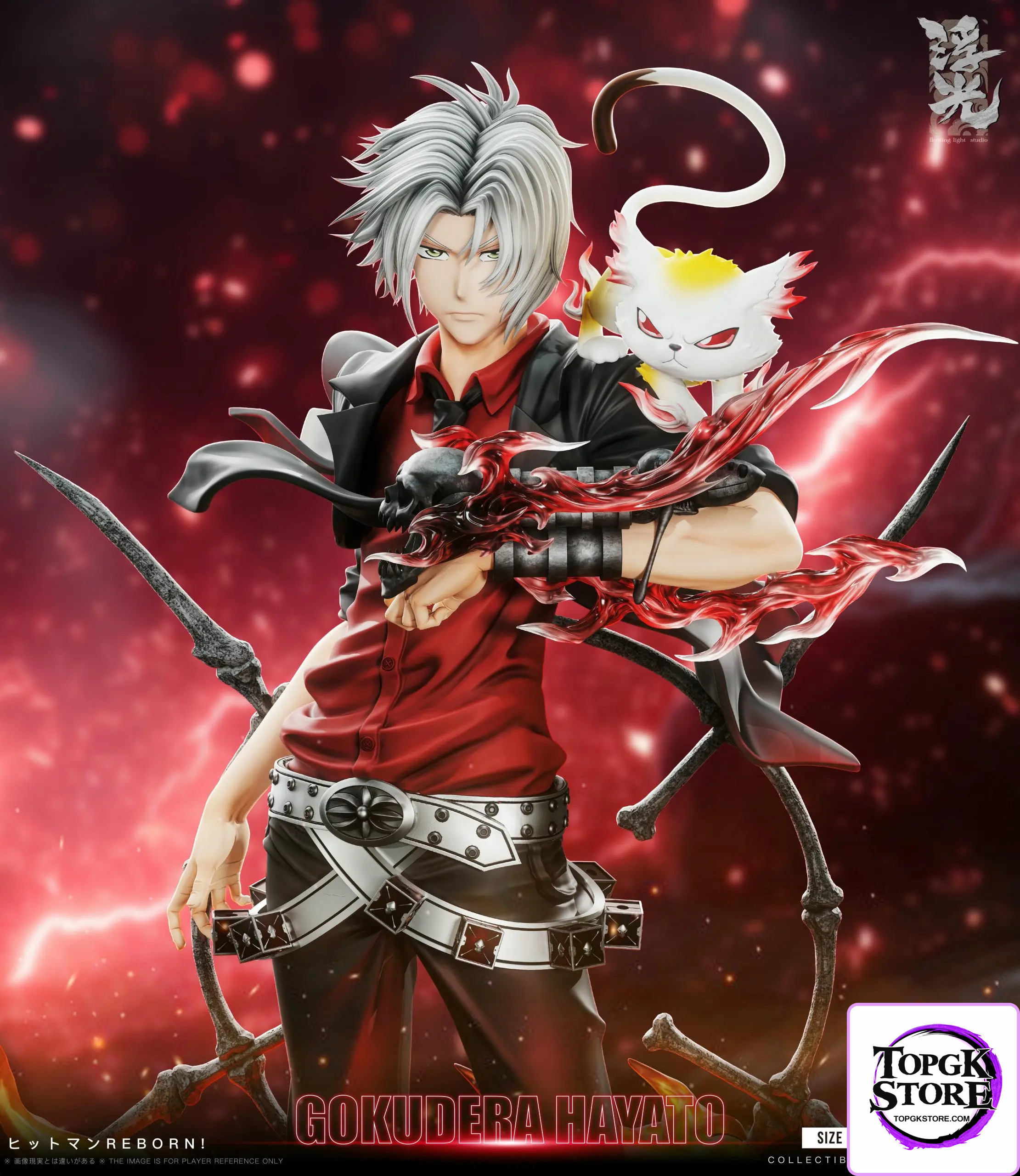Floating Light Studio – Katekyo Hitman Reborn 002 Hayato Gokudera - Photo 4 | TopGKStore