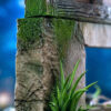 Wu Yu Studio – My Neighbor Totoro Hayao Miyazaki Desktop Series 05 The Happiest Search Mei Hide-and-Seek with Totoro - 