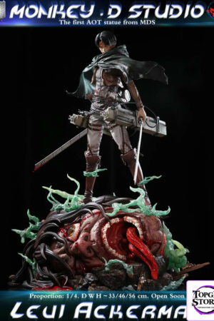 Attack On Titan Captain Levi Monkey.D Studio – - Photo 1 | TopGKStore