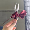 27abyss Studio – Silksong Hornet Hollow Knight - Photo 5 | TopGKStore