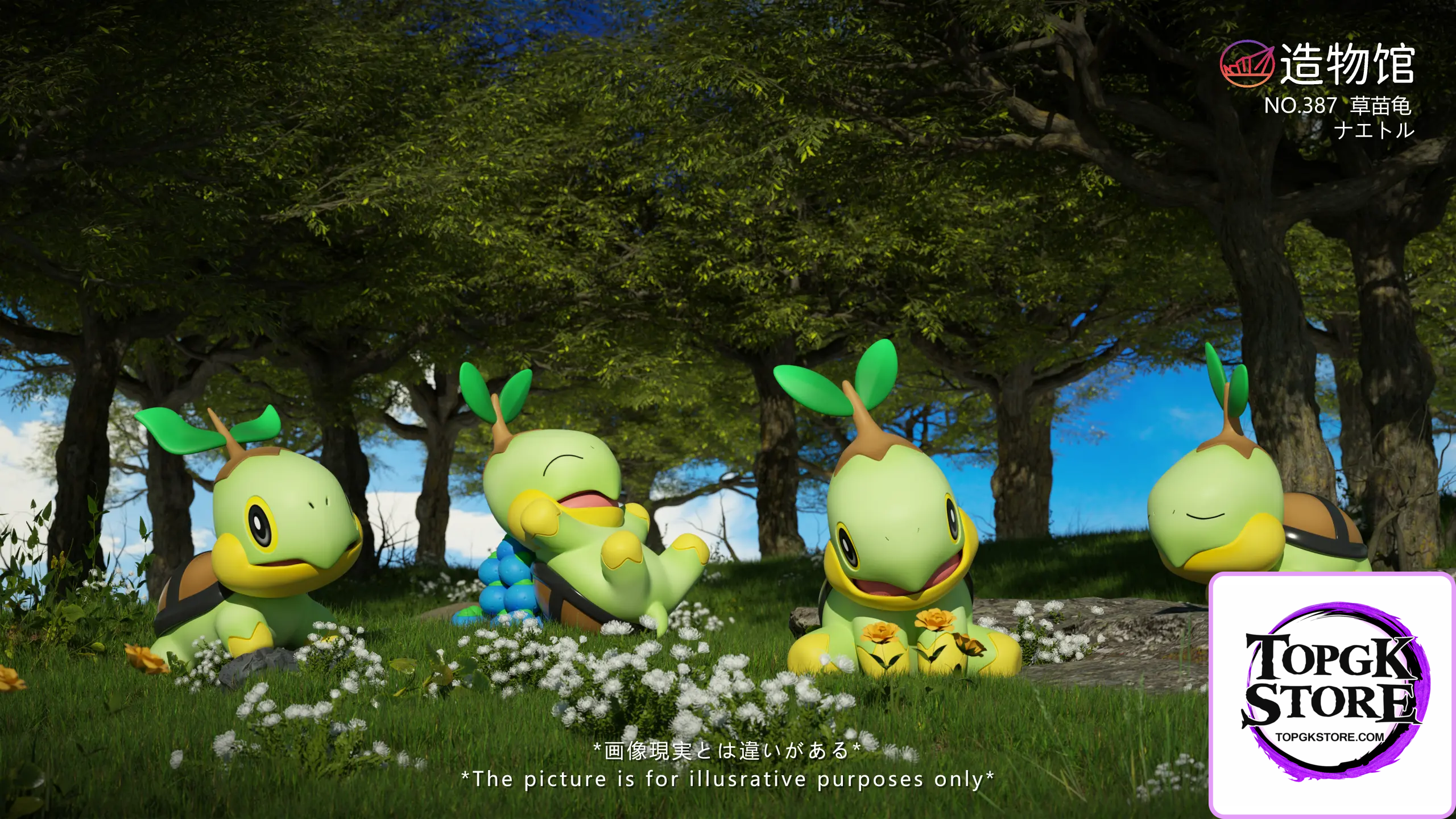 ZaoWu Museum Studio – Pokémon Turtwig - Photo 1 | TopGKStore