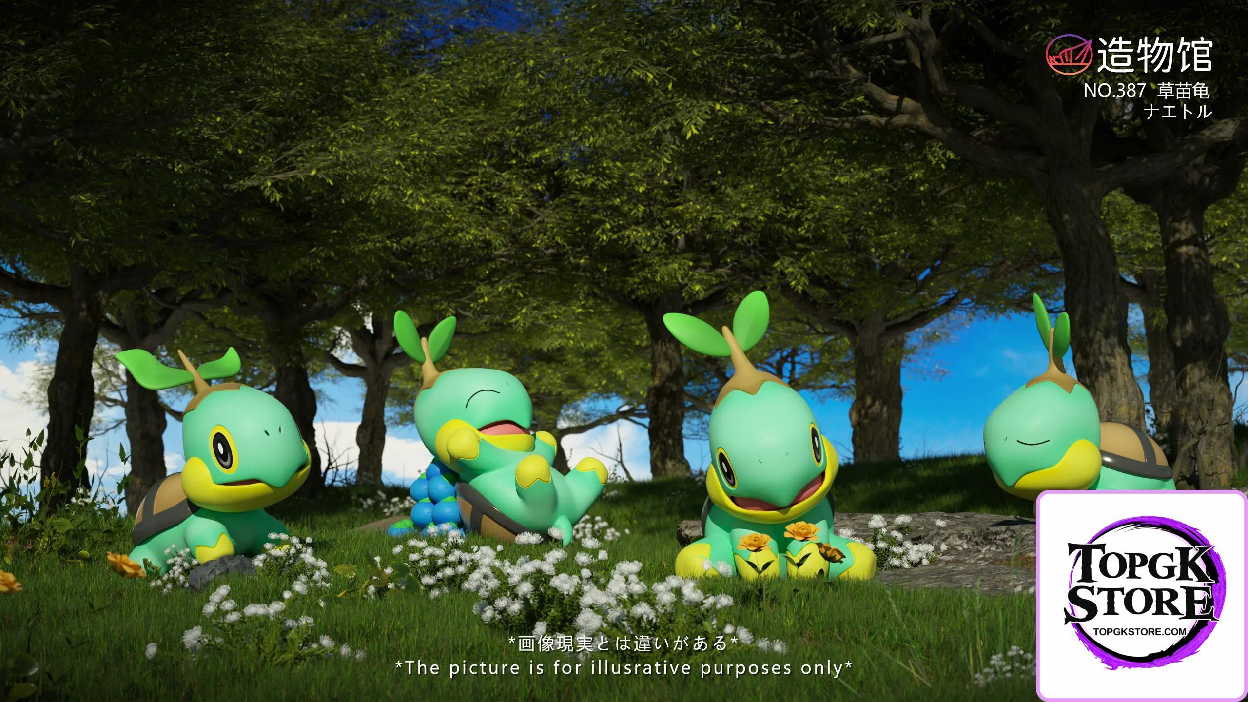 ZaoWu Museum Studio – Pokémon Turtwig - Photo 2 | TopGKStore