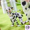 EIIFOX X BearPanda - Milk Cow MOMO 1/8 Action Figure (Licensed) - Photo 11 | TopGKStore