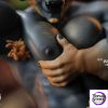 Key Studio Barley Resin 18+ Male GK Statue Licensed Artist design Original  Pre-order - Photo 1 | TopGKStore