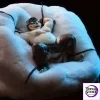 Moritaka Tokyo Afterschool Summoners- 18+Furry GK Statue Jiu Gong Studio - Photo 5 | TopGKStore