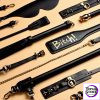 Luxury BDSM 15-piece Sade Trunk Kit ($2499 value) - Photo 1 | TopGKStore
