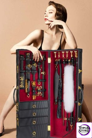 Luxury BDSM 15-piece Sade Trunk Kit ($2499 value) - Photo 3 | TopGKStore