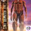 TV animation Attack on Titan The Rumbling PRIME 1 STATUE - Photo 5 | TopGKStore