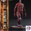 TV animation Attack on Titan The Rumbling PRIME 1 STATUE - Photo 8 | TopGKStore