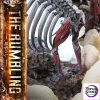TV animation Attack on Titan The Rumbling PRIME 1 STATUE - Photo 47 | TopGKStore