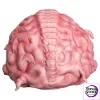 Teenage Mutant Ninja Turtles Krang 1/1Scale Prop Officially Licensed ART TOYS - Photo 4 | TopGKStore
